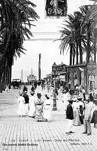 2020- Alger - L'Oasis des Palmiers
